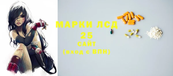сатива Гусиноозёрск