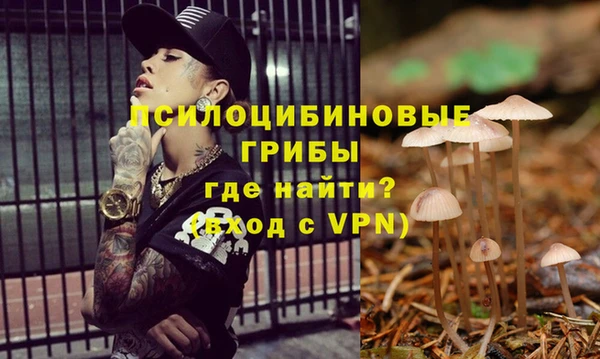 экстази Гусев