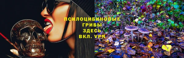 экстази Гусев