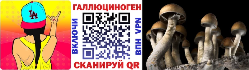 Псилоцибиновые грибы Cubensis Подольск